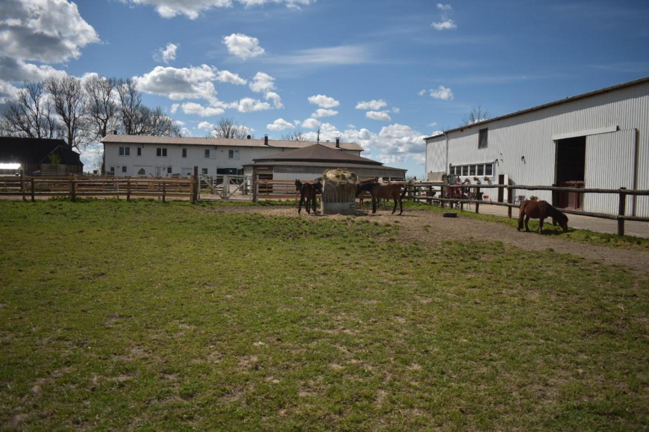 Ferienwohnung Idylle auf dem Reiterhof bei Husum Witzwort Exterior foto